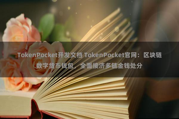 TokenPocket开发文档 TokenPocket官网：区块链数字货币钱包，全面接济多链金钱处分